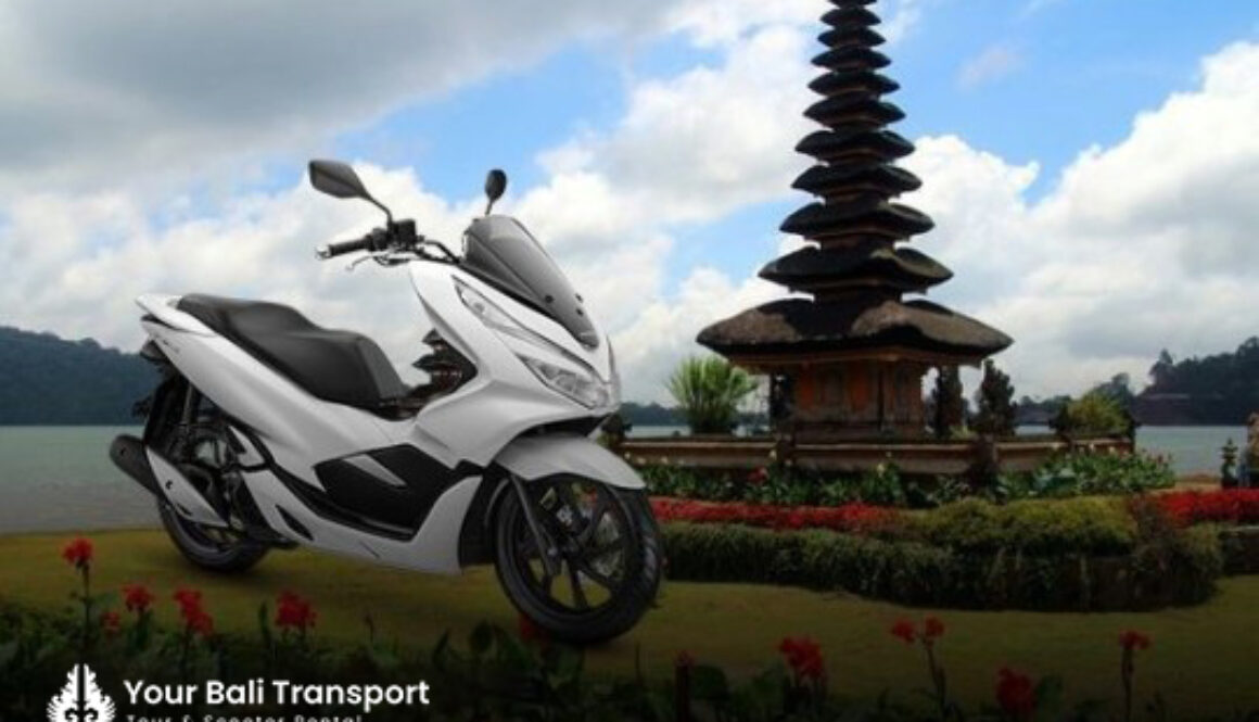 artikel-bali-3