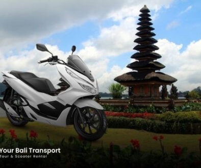 artikel-bali-3