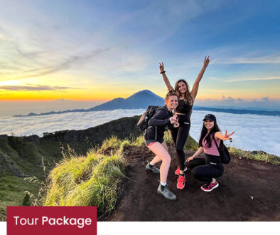 tour-package-bali-5