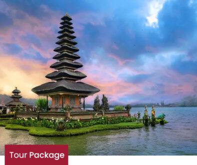 tour-package-bali-6